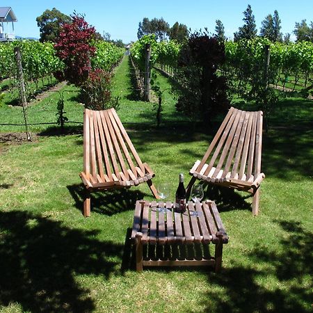 Villa In The Vines Martinborough Ngoại thất bức ảnh
