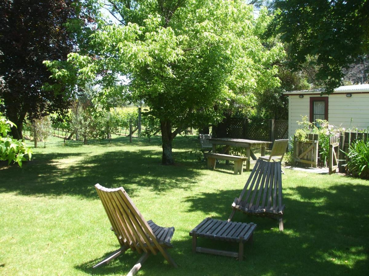 Villa In The Vines Martinborough Ngoại thất bức ảnh