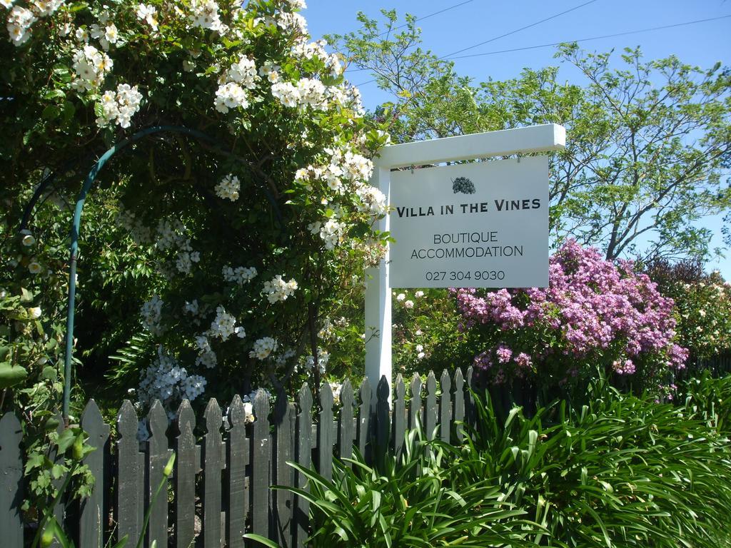 Villa In The Vines Martinborough Ngoại thất bức ảnh
