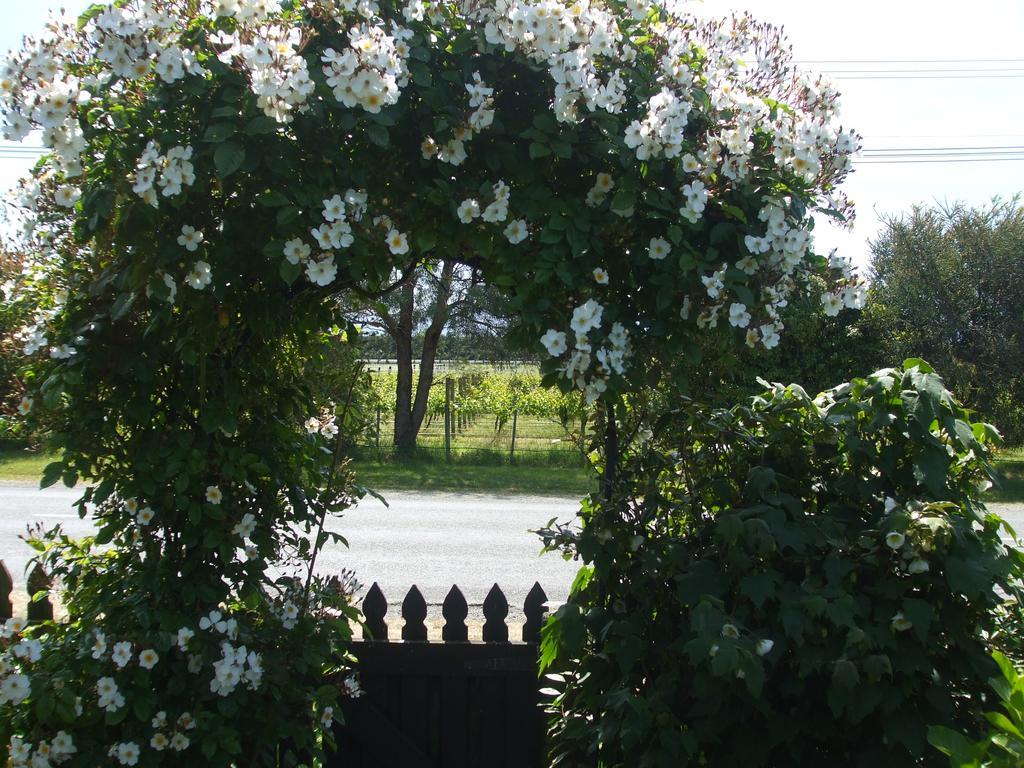 Villa In The Vines Martinborough Ngoại thất bức ảnh