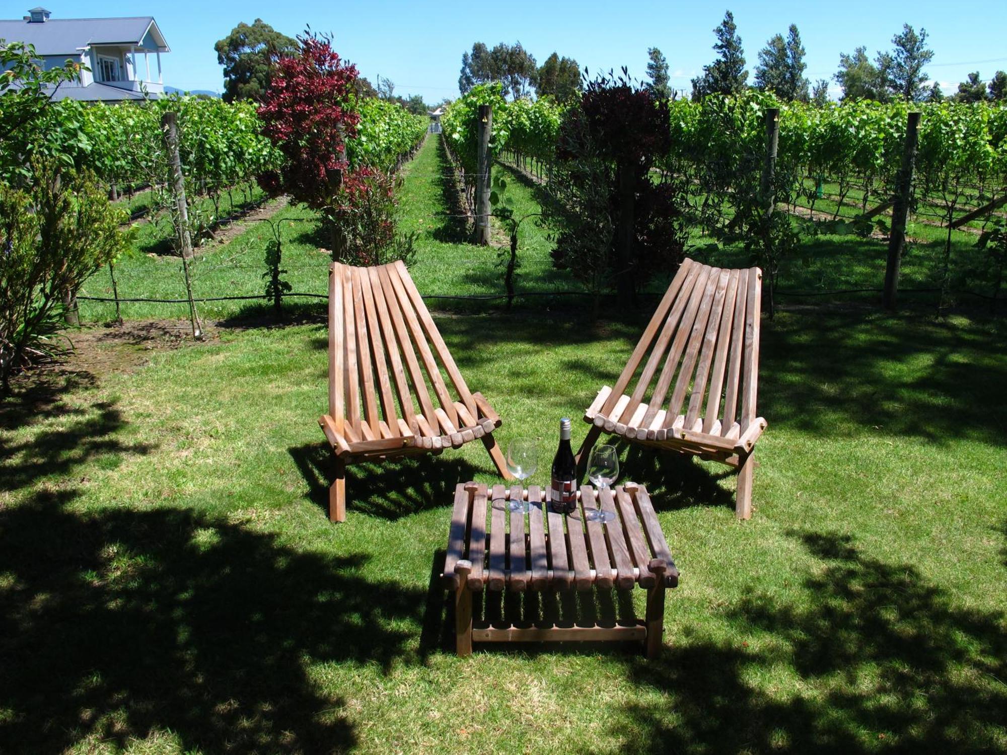 Villa In The Vines Martinborough Ngoại thất bức ảnh